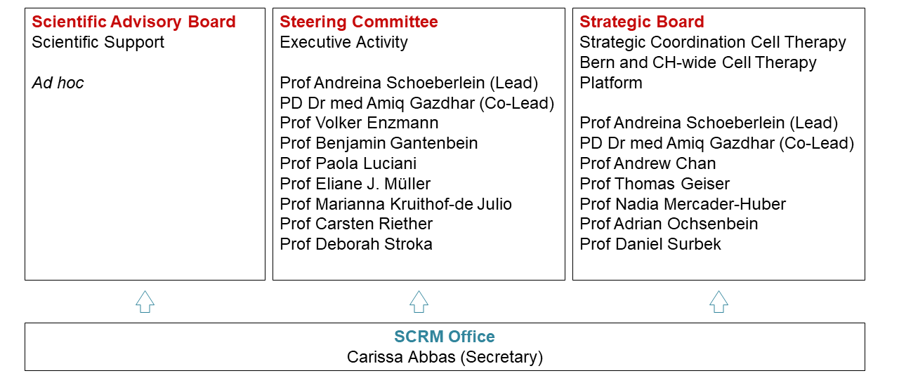 SCRM organigram